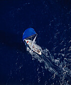 Aerial of yacht (Lion NZ) and crew in full sail moving through the water