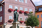 Tann; Rathaus; Denkmal Freiherr Ludwig von der Tann, Hessen, Deutschland