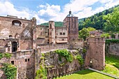 Heidelberg, Heidelberg Castle