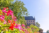 Marburg an der Lahn, Landgrafenschloss, Blick vom Schlossgarten, Hessen, Deutschland