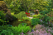 Victoria; The Butchart Gardens; Japanese Garden, Vancouver Island, Kanada