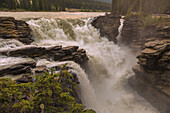 Jasper National Park, Athabasca Falls