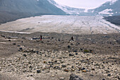 Jasper National Park; Columbia Icefield; Athabasca Glacier