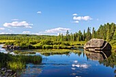 Algonquin Provincial Park, Opeongo Lake, Opeongo River, Ontario, Kanada