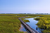 Point Pelee National Park, Marsh Board Walk, Kanufahrer, Ontario, Kanada