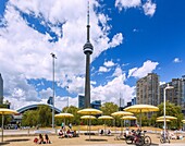 Toronto, The Waterfront, Harbourfront, Queen&#39;s Quay West, View of CN Tower