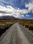 Gravel road winding through tussock grass wilderness