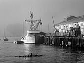 Schwarz und Weiß, kein wahres Refugium, Tintenfisch-Fischerboote in Monterey Bay, Monterey Bay National Marine Refuge, Kalifornien