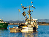 Not a true Refuge, Squid fishing boats in Monterey Bay, Monterey Bay National Marine Refuge, California
