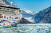A cruise ship visits Tracy Arm-Fords Terror National Wilderness in Alaska
