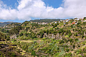 Levada do Norte; Ausblick auf Jardim da Serra, portugiesische Insel Madeira, Portugal