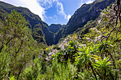 Levada do Risco, Cascata do Risco, Wasserfall, portugiesische Insel Madeira, Portugal