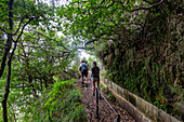 Levada do Furado, Ribeiro Frio, Laurel Forest, Hiker (model released)