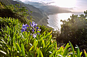 Nordküste bei Sao Jorge, Miradouro da Vigia, Ausblick nach Ponta Delgada, portugiesische Insel Madeira, Portugal