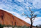 Felsformationen aus Sandstein, Uluru, Uluru-Kata Tjuta National Park, Northern Territory, Australien