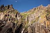 Bird flying in the blue sky above a cliff, Skellig Michael, Republic of Ireland