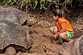 Ecuador, Galapagos-Inseln, Mädchen kauert neben Riesenschildkröten