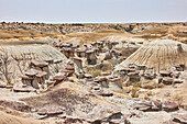 Ah-shi-sle-pah Wilderness Study Area in New Mexico. Das Gebiet liegt im Nordwesten von New Mexico und ist ein Badland-Gebiet mit sanften, wassergeschnitzten Lehmhügeln. Es ist eine Landschaft aus Sandsteinfelsen und malerischen olivfarbenen Hügeln. Wasser in diesem Bereich ist knapp und es gibt keine Wanderwege; Die Gegend ist jedoch landschaftlich reizvoll und enthält sanfte Farben, die anderswo selten zu sehen sind