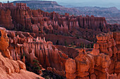 Erodierte Felsen in einer Schlucht, Bryce-Canyon-Nationalpark, Utah, USA