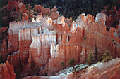 Eroded rocks in a canyon, Bryce Canyon National Park, Utah, USA