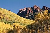 Wald- und Berglandschaft, Colorado, USA