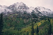 Wald bis zum schneebedeckten Berg, Aspen, Pitkin County, Colorado, USA