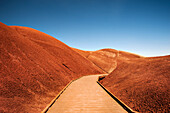 Trail at Painted Hills, Oregon