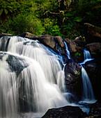 Water flowing over rocks among native foliage at McLaren Falls
