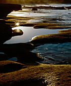 Late afternoon light falling on rockpools at low tide at Ferry Landing Beach