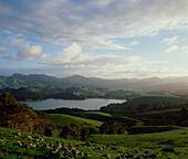 Sanfte grüne Hügel und Mündung des Te Kouma im Coromandel-Distrikt von Neuseeland