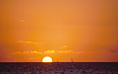 Boats and yachts on the tropical ocean at sunset