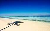 Shadow of palm tree on tropical beach