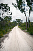Sandy road through bushland on Fraser Island - Australia