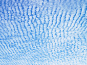 Cirrocumulus-Wolken in Reihen am blauen Himmel
