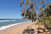 Blick entlang der sandigen Küstenlinie bei Mooloolabah - Sunshine Coast