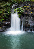 Wasserfall fließt über Felsen in den Pool bei Elabana Falls - Gold Coast