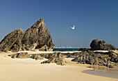 Gezackte Felsformation - Elephant Rock am Strand mit Surfers Paraidise Stadtbild im fernen Hintergrund