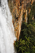 Waterfall falling into tropical rainforest