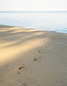 Footprints leading to calm tropical water