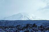 Berg Tongariro mit Schnee bedeckt