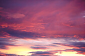 Rosa Wolken im lila Himmel bei Sonnenuntergang