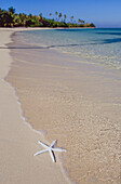 Starfish on the shore of tropical Island