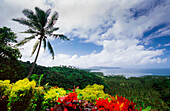 Tropische Vegetation auf der Insel Tavenui - Fidschi-Inseln