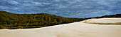 Panorama of sand dune leading onto native bushland on Fraser Island