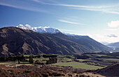 Queenstown pasture land at the base of the Remarkables