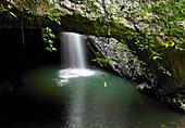 Water flowing into pool at the Natural Bridge in the Gondwana Rainforest - Springbrook National Park - Queensland