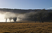 Early morning mist passing through rural farmland