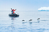 Zodiac and porpoising Gentoo Penguins (Pygoscelis papua) at Lindblad Cove, Antarctic Peninsula, Antarctica