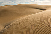 Sand dunes near sunset on Magdalena Island, Baja California Sur