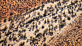 Abstrakte Luftaufnahme der Wüste Südaustraliens